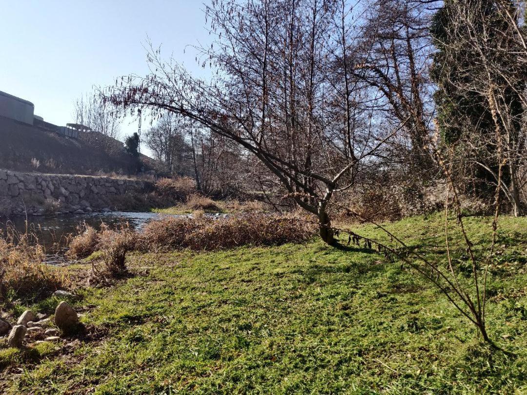 Homestay Les Muriers
